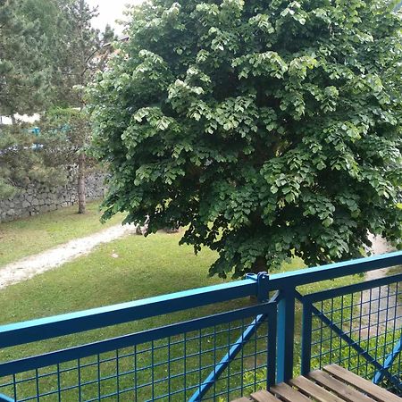 Duplex Lumineux - 40M2 - 2 Chambres - Balcon Terrasse - Parking - Entierement Renove En Mai 2024 Cauterets Eksteriør billede